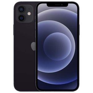 Apple iPhone 12 256GB Black (MGJG3RU/A)