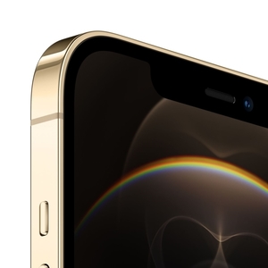 Apple iPhone 12 Pro Max 128GB Gold (MGD93RU/A)
