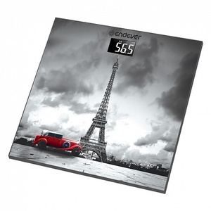 Весы Endever Skyline FS-542